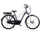 China Stadt-schwarzer Schritt durch kundenspezifisches elektrisches Fahrrad 250w 120 Kilogramm Tragfähigkeits- exportateur